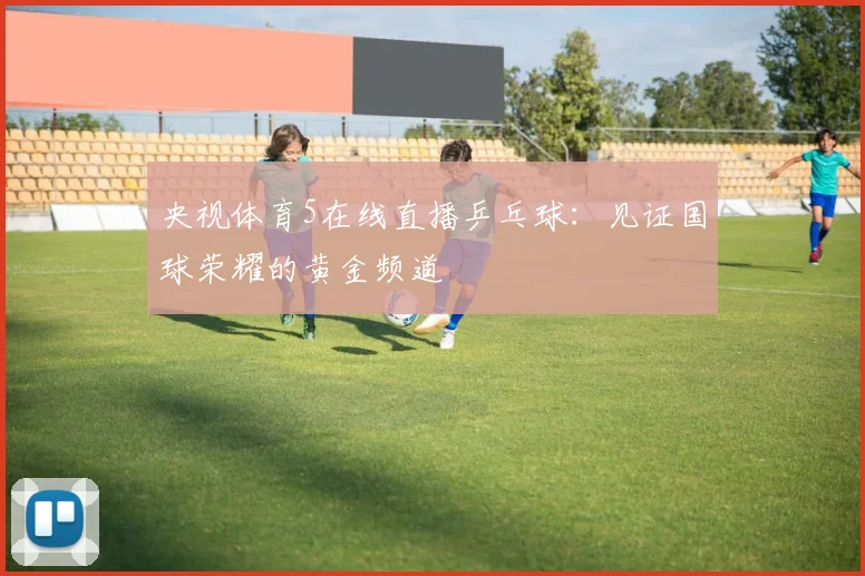 央视体育5在线直播乒乓球：见证国球荣耀的黄金频道