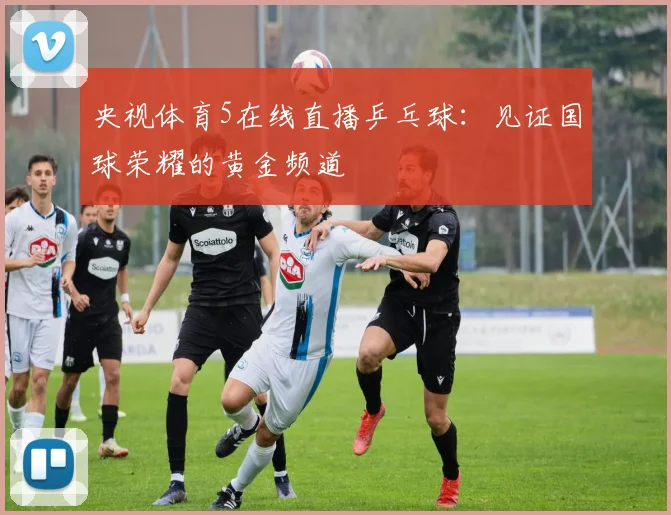央视体育5在线直播乒乓球:见证国球荣耀的黄金频道