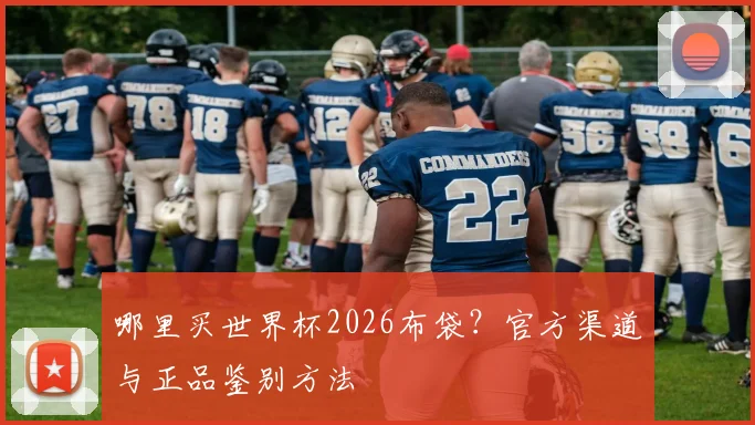 哪里买世界杯2026布袋?官方渠道与正品鉴别方法